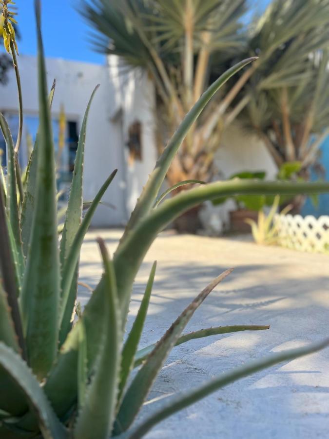 Dici Co-Living Housing Cabo San Lucas Bed & Breakfast ภายนอก รูปภาพ