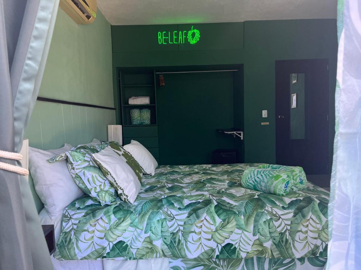 Dici Co-Living Housing Cabo San Lucas Bed & Breakfast ภายนอก รูปภาพ
