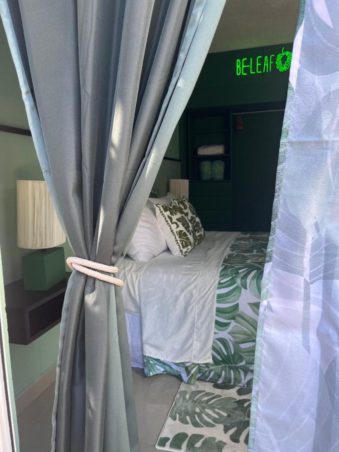 Dici Co-Living Housing Cabo San Lucas Bed & Breakfast ภายนอก รูปภาพ