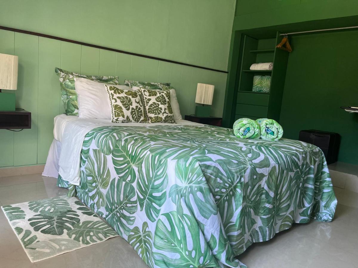 Dici Co-Living Housing Cabo San Lucas Bed & Breakfast ภายนอก รูปภาพ