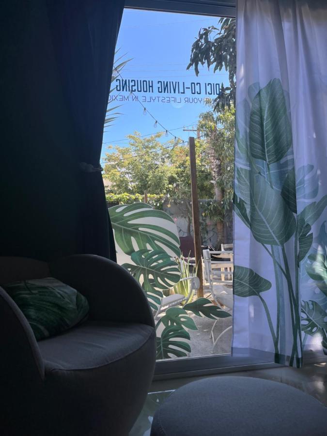 Dici Co-Living Housing Cabo San Lucas Bed & Breakfast ภายนอก รูปภาพ