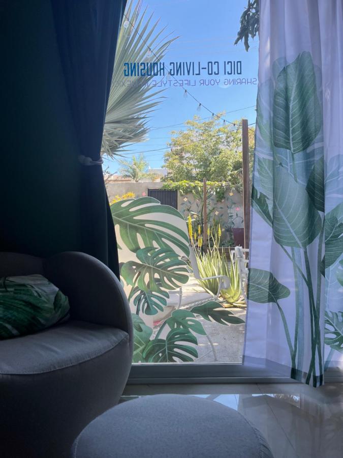 Dici Co-Living Housing Cabo San Lucas Bed & Breakfast ภายนอก รูปภาพ